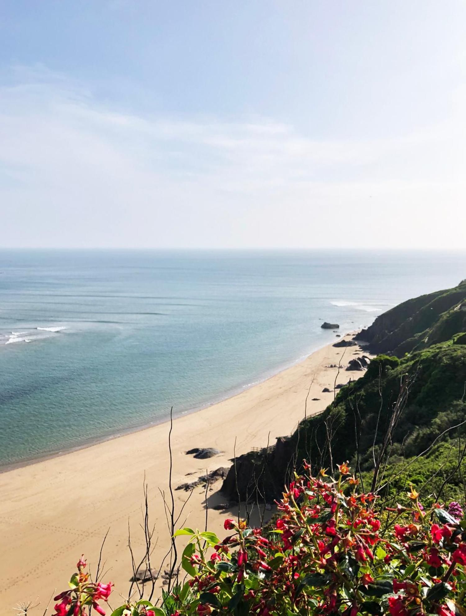 Cosy Beachside Cottage Bigbury Экстерьер фото